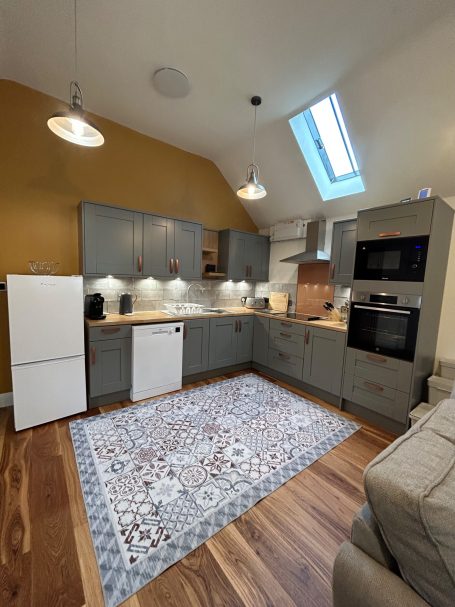Modern kitchen with grey cabinets, a fridge, oven, and a decorative rug on wooden floor.